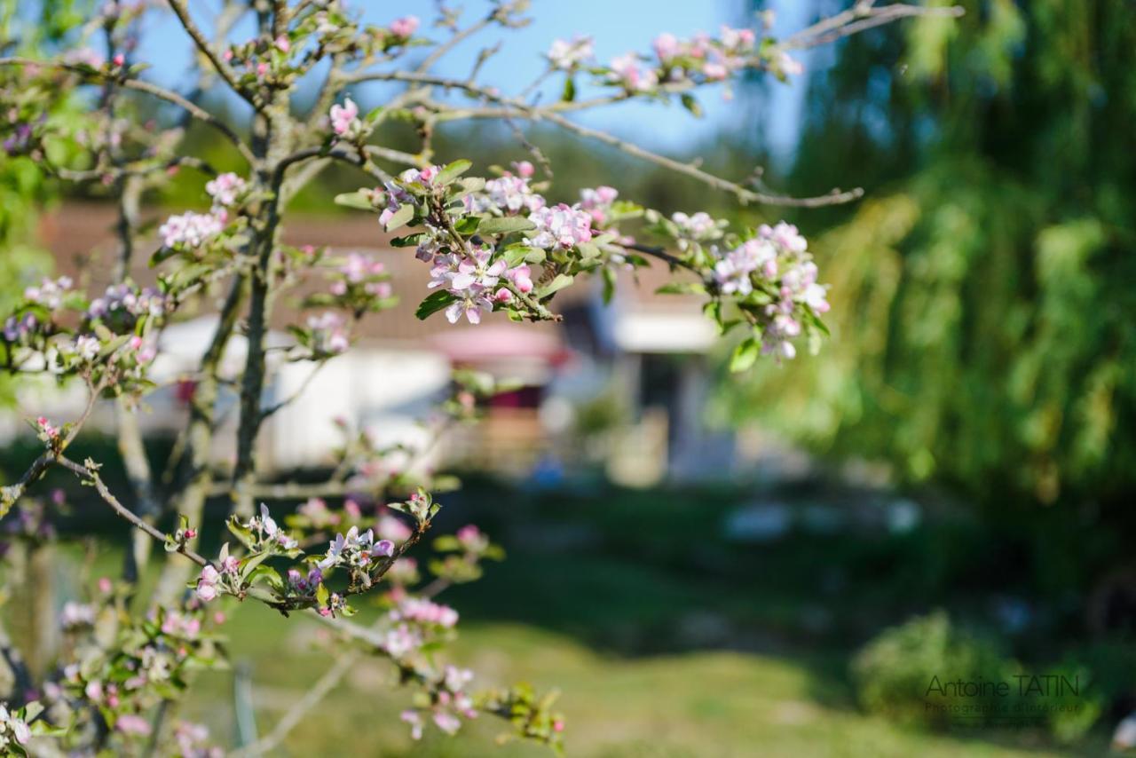 Vairé La Chevrerie Bed & Breakfast エクステリア 写真